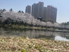 -堤角公园