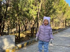 -北京十三陵国家森林公园蟒山景区