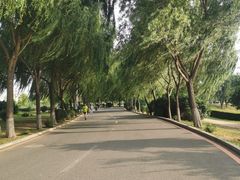 -丁香湖公园