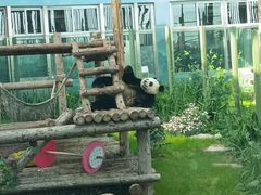 -大连森林动物园