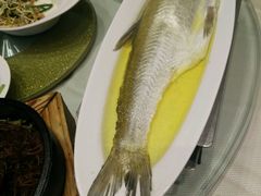 android_upload_pic-A One Kitchen·南京精菜馆(晶丽酒店店)