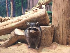 -正佳雨林生态植物园