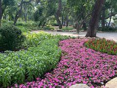 -长春市南湖公园