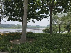 -东郊湿地公园