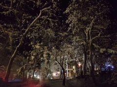 -东海森林温泉度假酒店