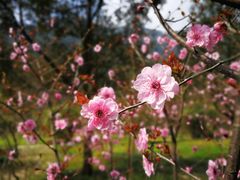 -黄公望隐居地