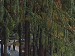 -南翔镇银翔湖公园