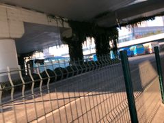 -上海旅游集散中心(万体站)