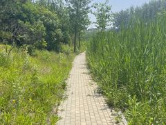 -东郊湿地公园