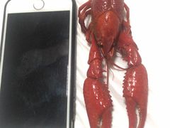 -强强龙虾馆