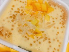 雪山杨枝甘露（香草/蓝莓）-满记甜品(龙湖长楹天街二店)