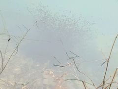 -会稽山峡洞漂流-上青古道