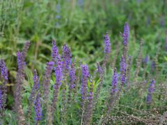 -汉长安城未央宫国家考古遗址公园