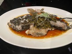 石斑鱼-南京景枫万豪酒店·万豪中餐厅
