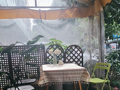 -满格嗦新疆椒麻鸡火锅.炒米粉(川大江安校区店)