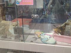 -FAELING PETS美天灵宠物(富力广场店)