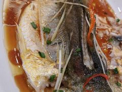 -米香居新鲁味·水饺餐厅