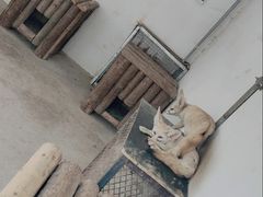 -石家庄市动物园