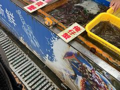-大湾区中央湿地公园-十九涌