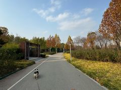 -坝河休闲公园