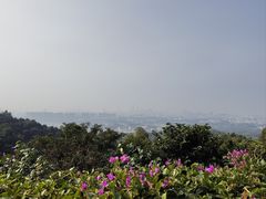 -火炉山森林公园
