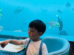 -瑞德姆美人鱼海底演艺主题餐厅(亚龙湾店)