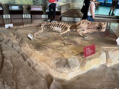 -自贡恐龙博物馆
