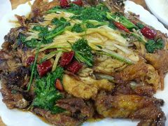 android_upload_pic-东北农家饺子村(昌平路店)