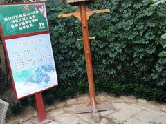 -仁爱团泊湖温泉中心