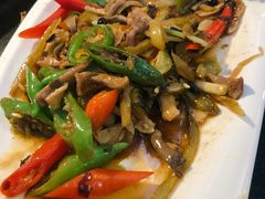 -云中小雅