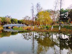 -映月湖公园