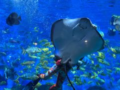 -横店影视城梦幻谷园区