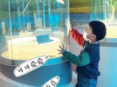 -辽宁古生物博物馆