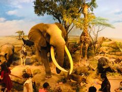 -陕西自然博物馆