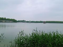 -大兴滨河森林公园