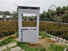 -广东花都香草世界旅游度假区