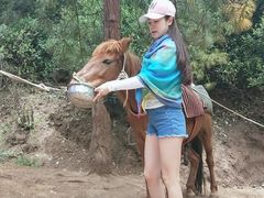 -云端彼岸马场