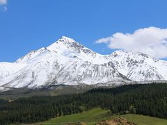 -大冬树山垭口