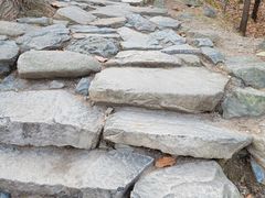 -北京鹫峰国家森林公园