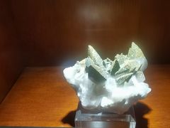 -青岛德国总督楼旧址博物馆