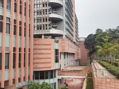 -香港大学