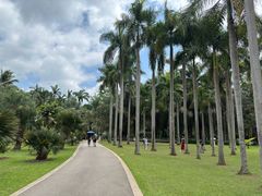 -中国科学院西双版纳热带植物园