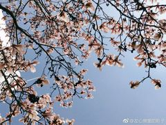 -鲍师傅糕点(西站店)