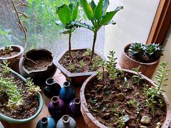 -不贰手作陶艺diy·烧玻璃·银饰团建(人民大学店)