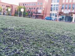 -天津市第七十八中学