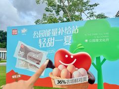 -白石龙音乐公园