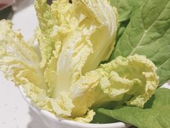 -木王宴语·野生鲜菌火锅(玉河店)