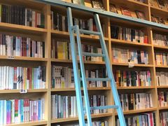 -猫的天空之城概念书店(丽江古城饮玉巷店)