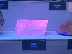 -湖南省地质博物馆