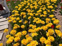 -沈阳植物园